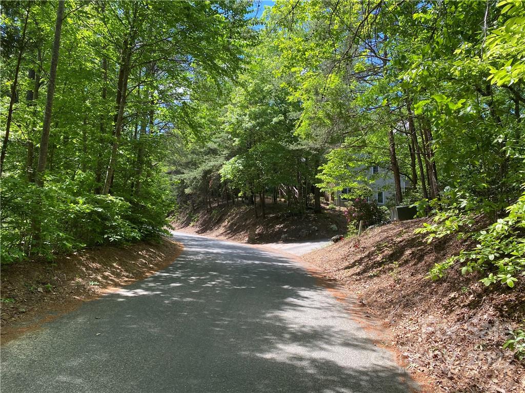 Tbd Rumbling Bald Road Lake Lure, NC 28746 - Photo 2 of 14 a view of a forest with trees