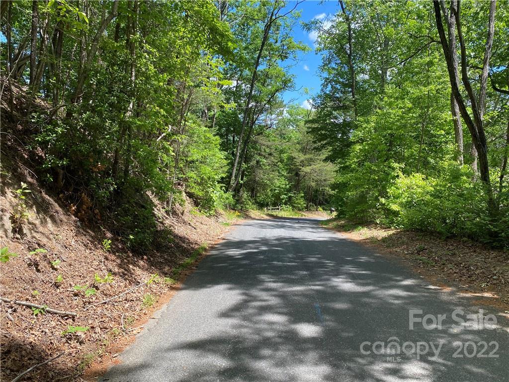 Tbd Rumbling Bald Road Lake Lure, NC 28746 - Photo 3 of 14 a view of a yard with plants and large trees