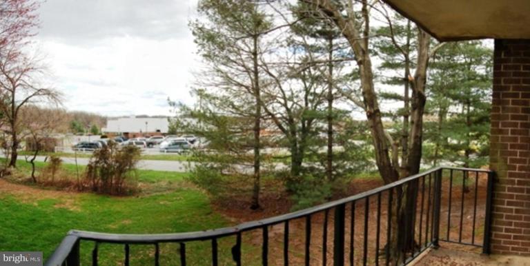 Deck - View from