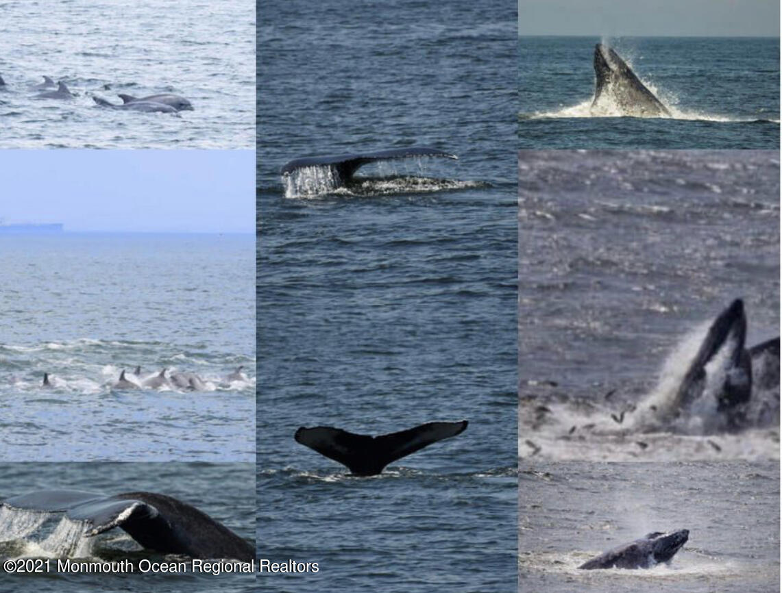 17 Via Ripa Way Sea Bright, NJ 07760 - Photo 31 of 33 a view of a fireplace