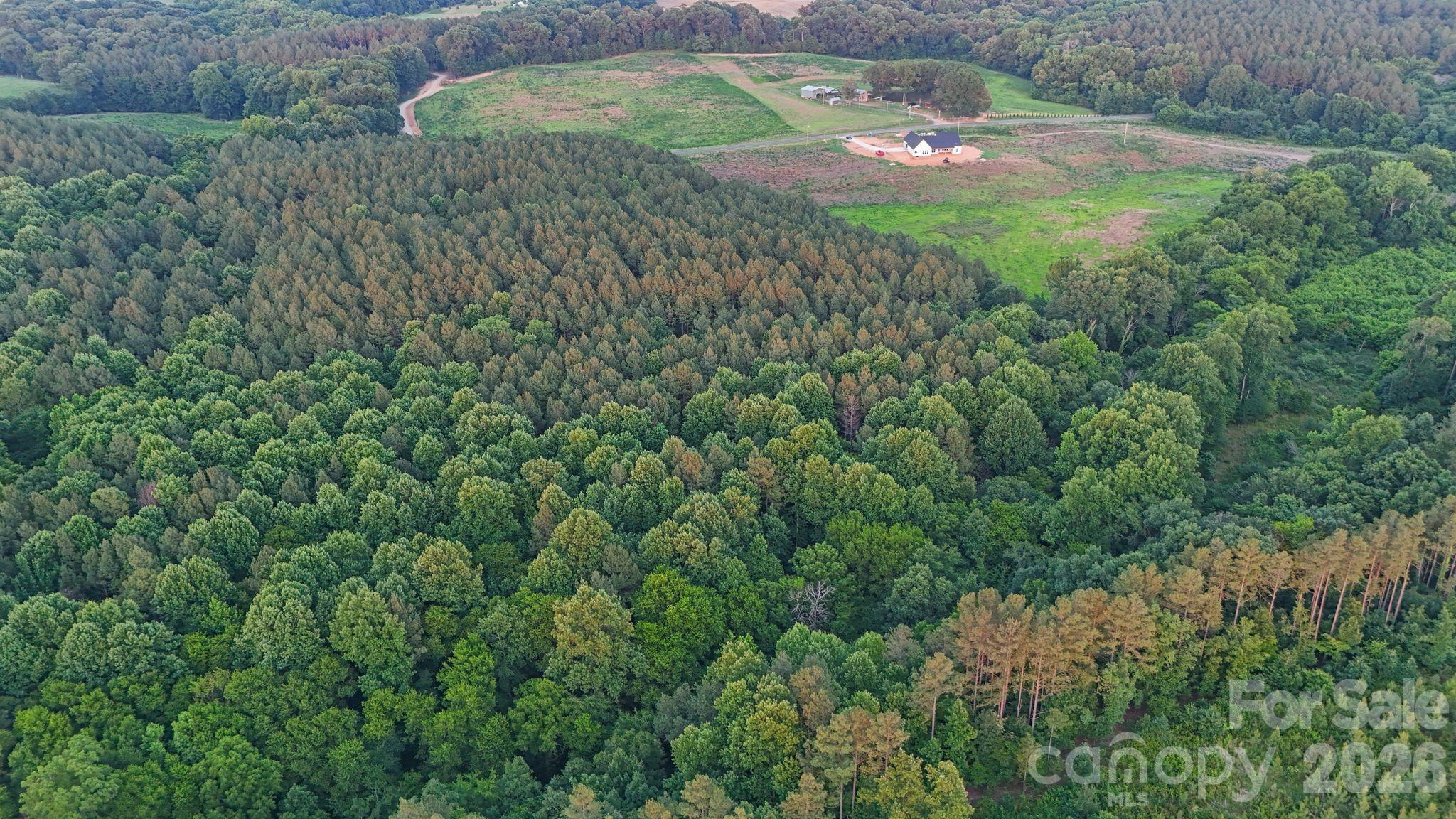 0 Lucy Short Cut Road, Unit 2 Marshville, NC 28103 - Photo 37 of 38 a backyard of a house with a yard and large trees