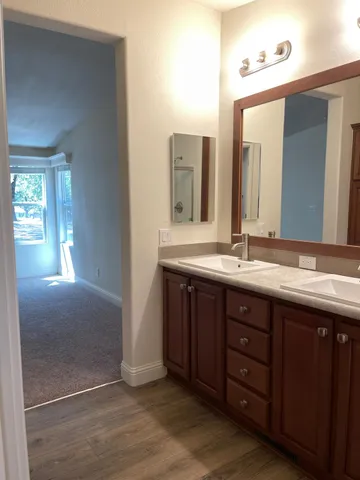 a view of a yard with tree