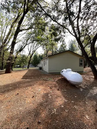a view of a yard with a tree
