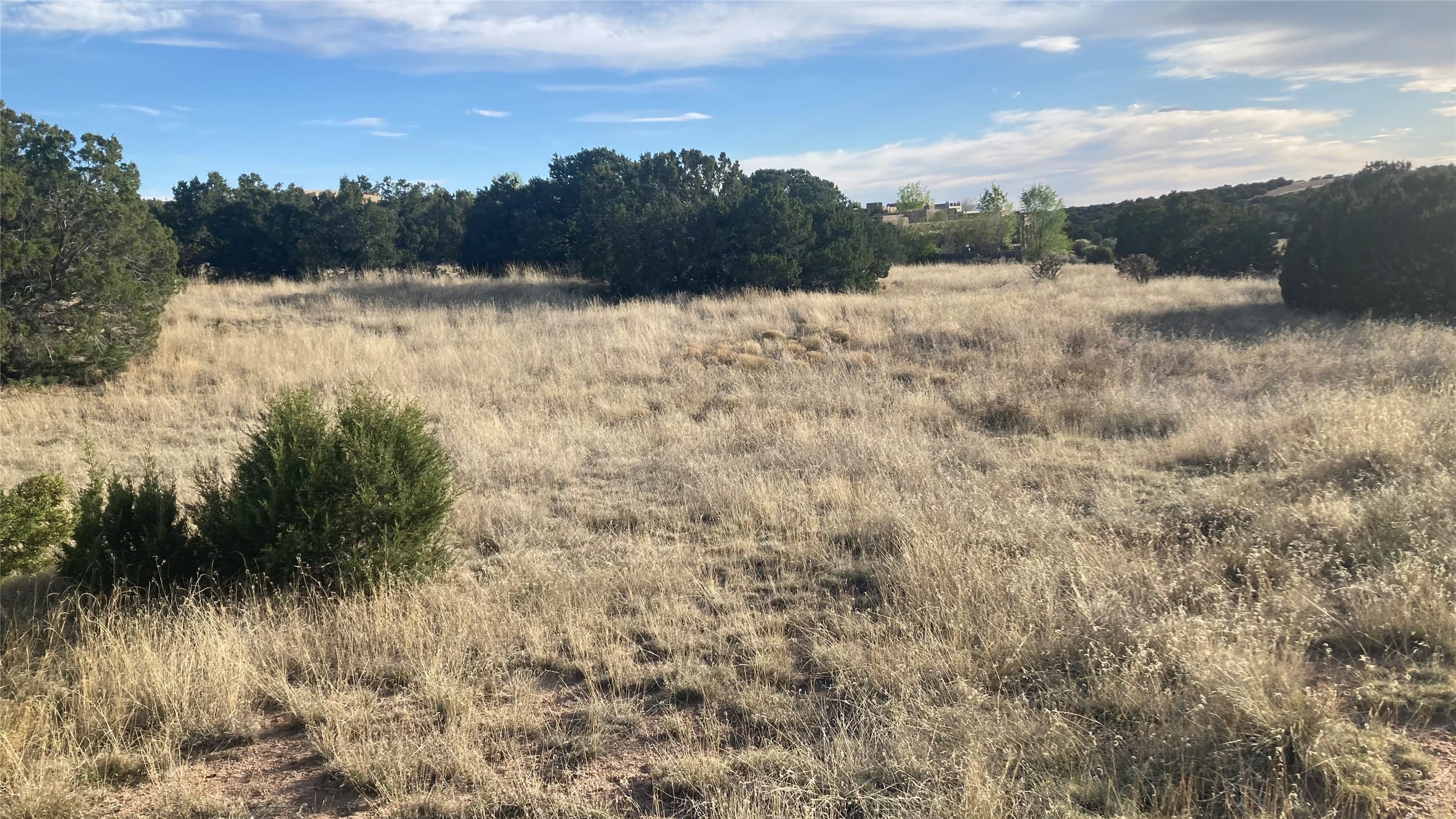 99-102 Centaurus Ranch Road Santa Fe, NM 87507 - Photo 4 of 7 NW Corner of Site
