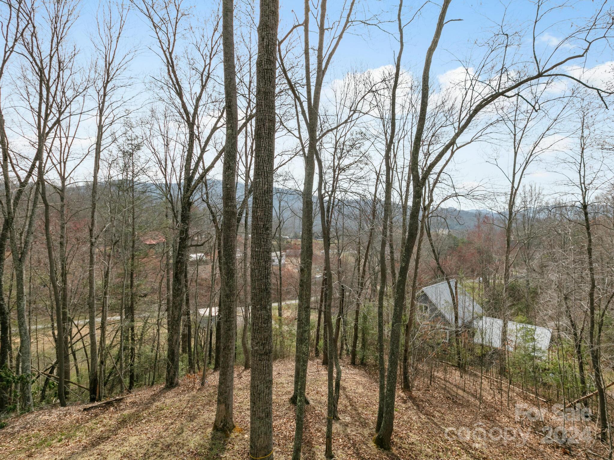 315 Porters Ridge Canton, NC 28716 - Photo 26 of 26 a view of outdoor space and yard