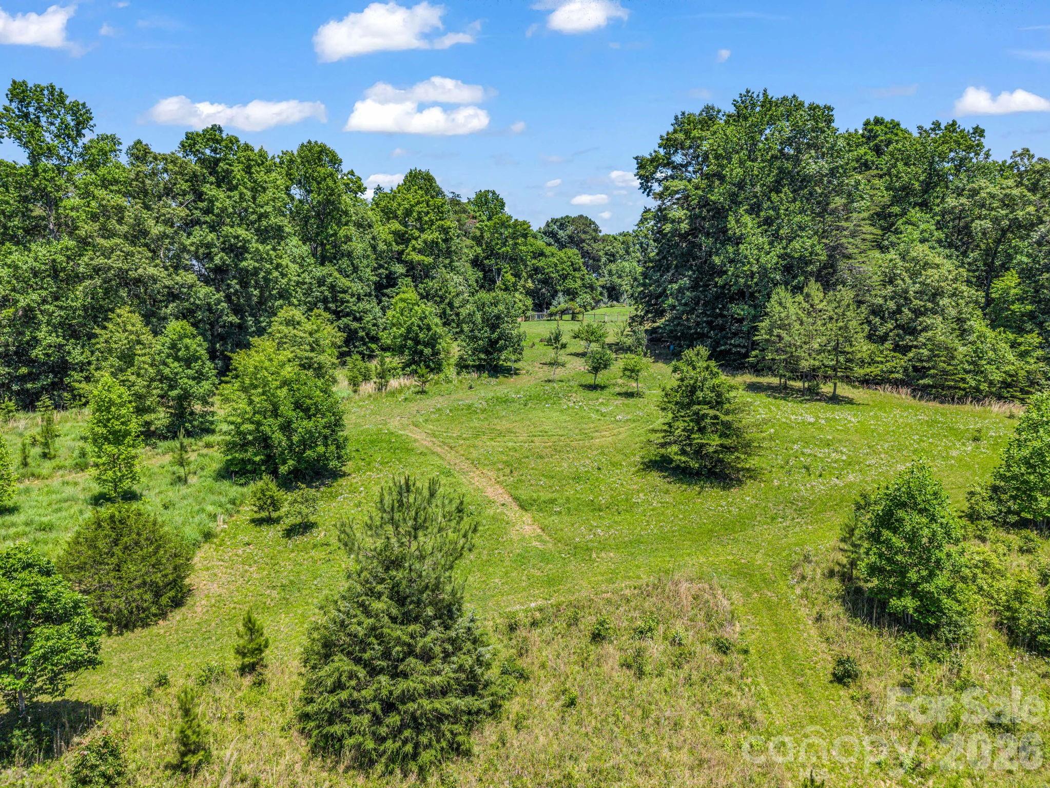 590 Miller Road Rutherfordton, NC 28139 - Photo 44 of 48