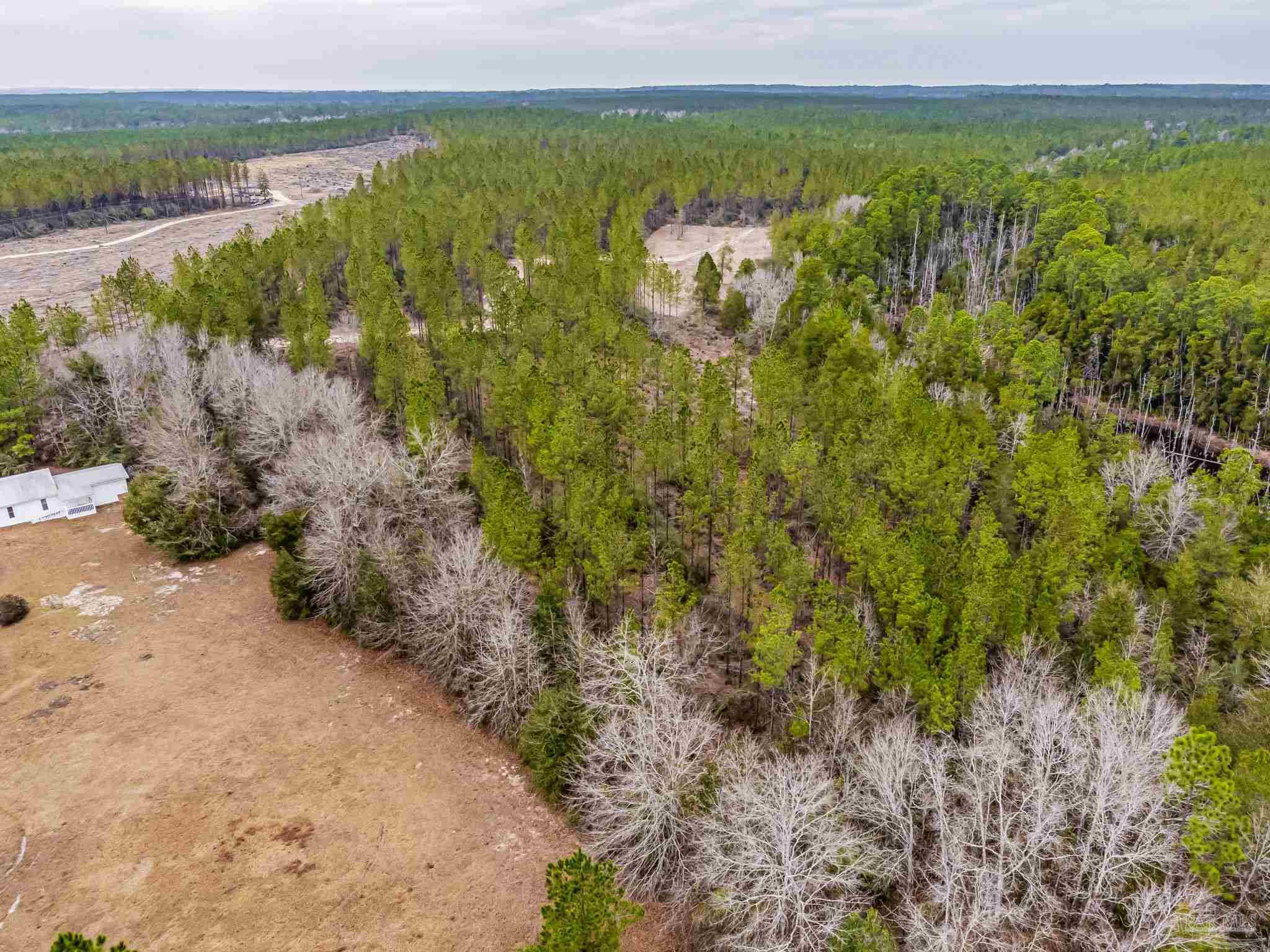9318 Indian Ford Road, Unit PARCEL B 22 45 / ACRES (APPROXIMATELY) Milton, FL 32570 - Photo 32 of 36