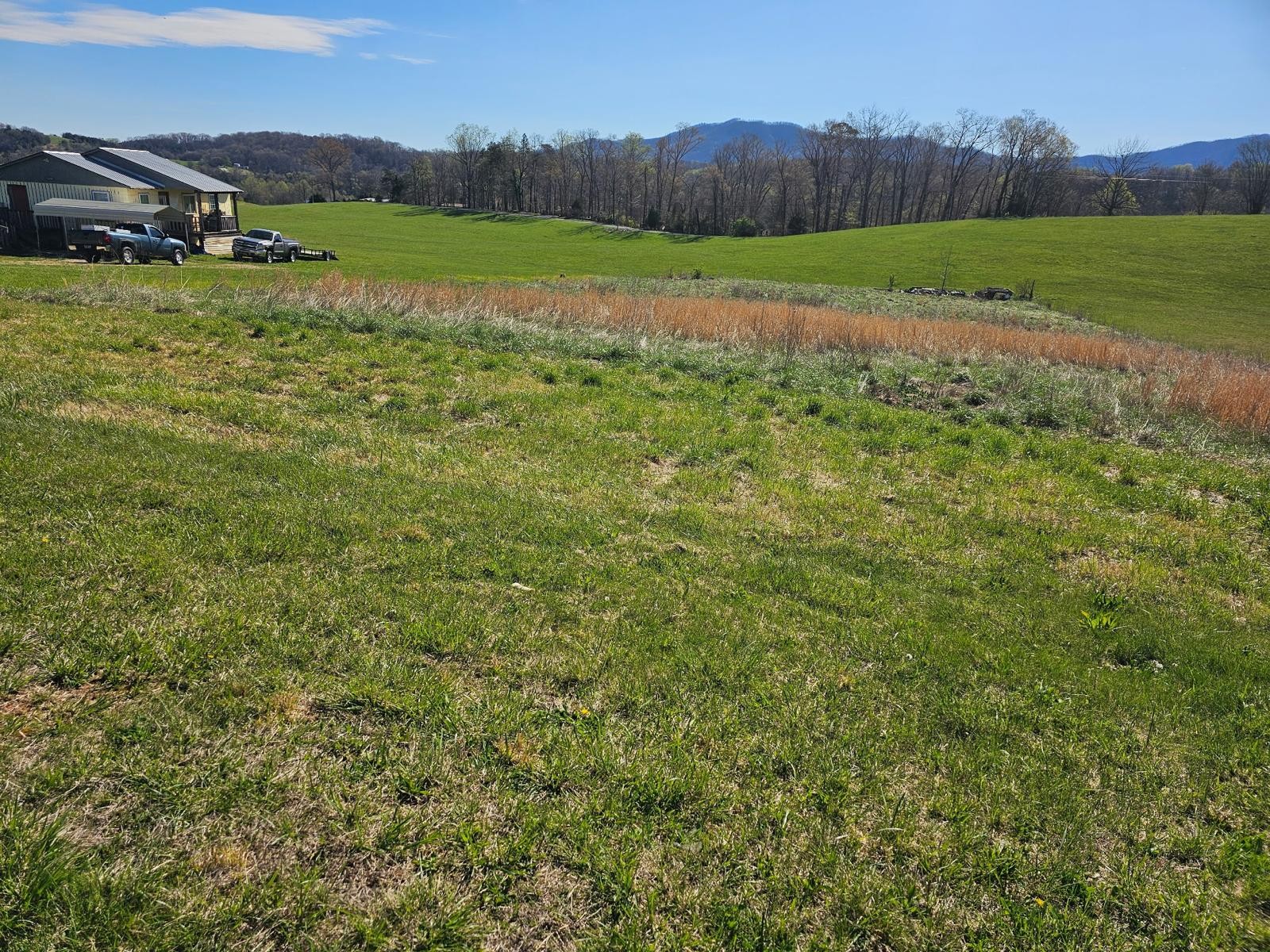 656 Rock Hill Road Newport, TN 37821 - Photo 15 of 16