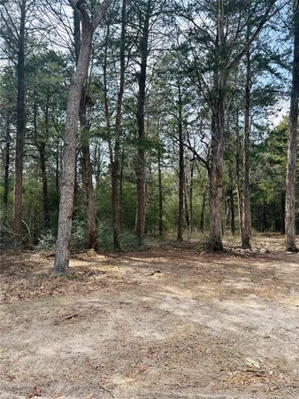 $350,000 | 1053 Elm Crest Drive, New Ulm, TX 78950
