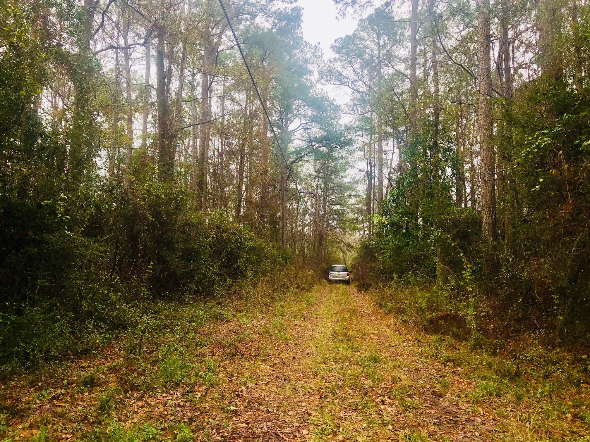 2 Acres County Highway Freeport, FL 32439 - Photo 4 of 14