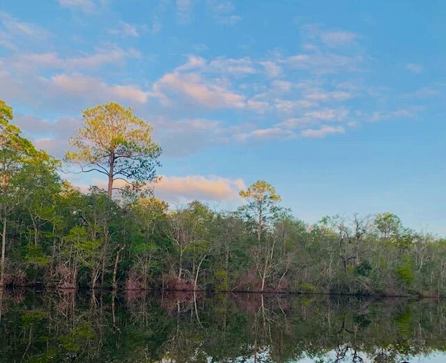 2 Acres County Highway Freeport, FL 32439 - Photo 6 of 14 a view of a lake