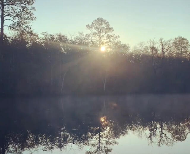 2 Acres County Highway Freeport, FL 32439 - Photo 10 of 14 a view of a lake in between two of trees