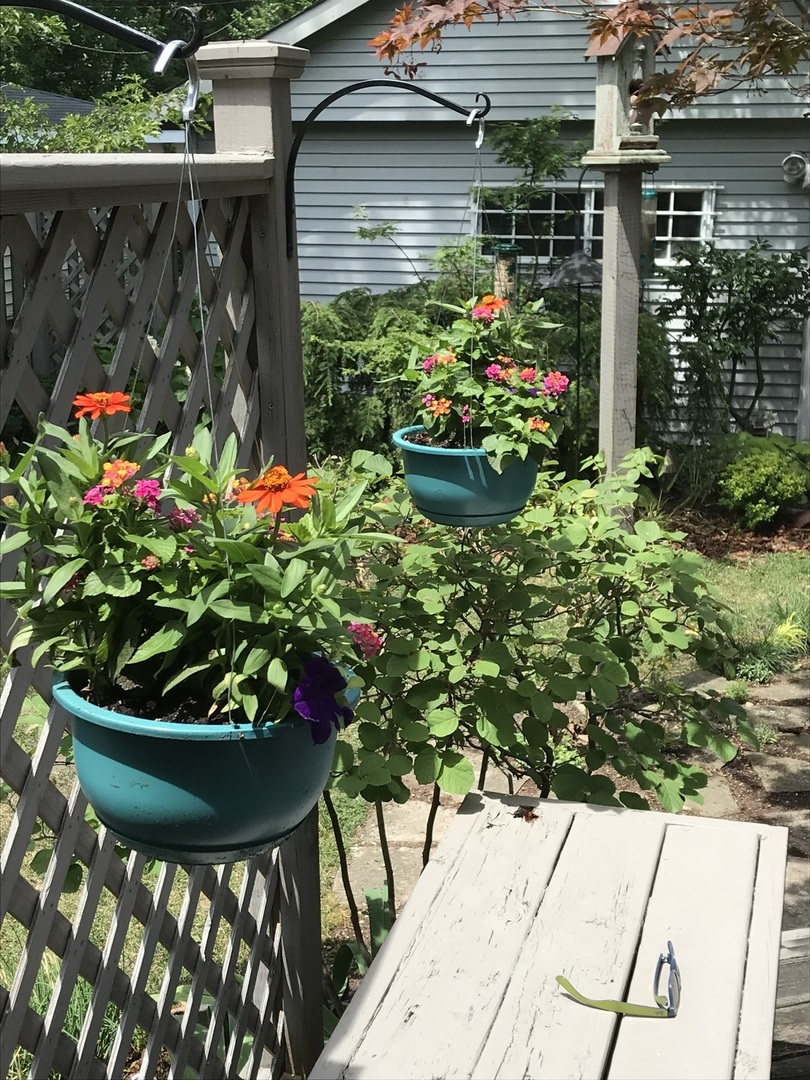 1623 Madison Street Evanston, IL 60202 - Photo 27 of 31