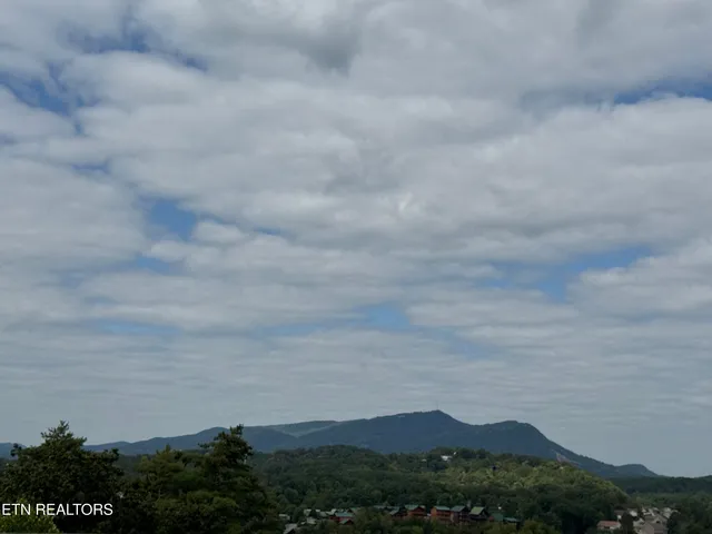 $449,900 | 410 Big Bear Way, Unit 2005, Pigeon Forge, TN 37863