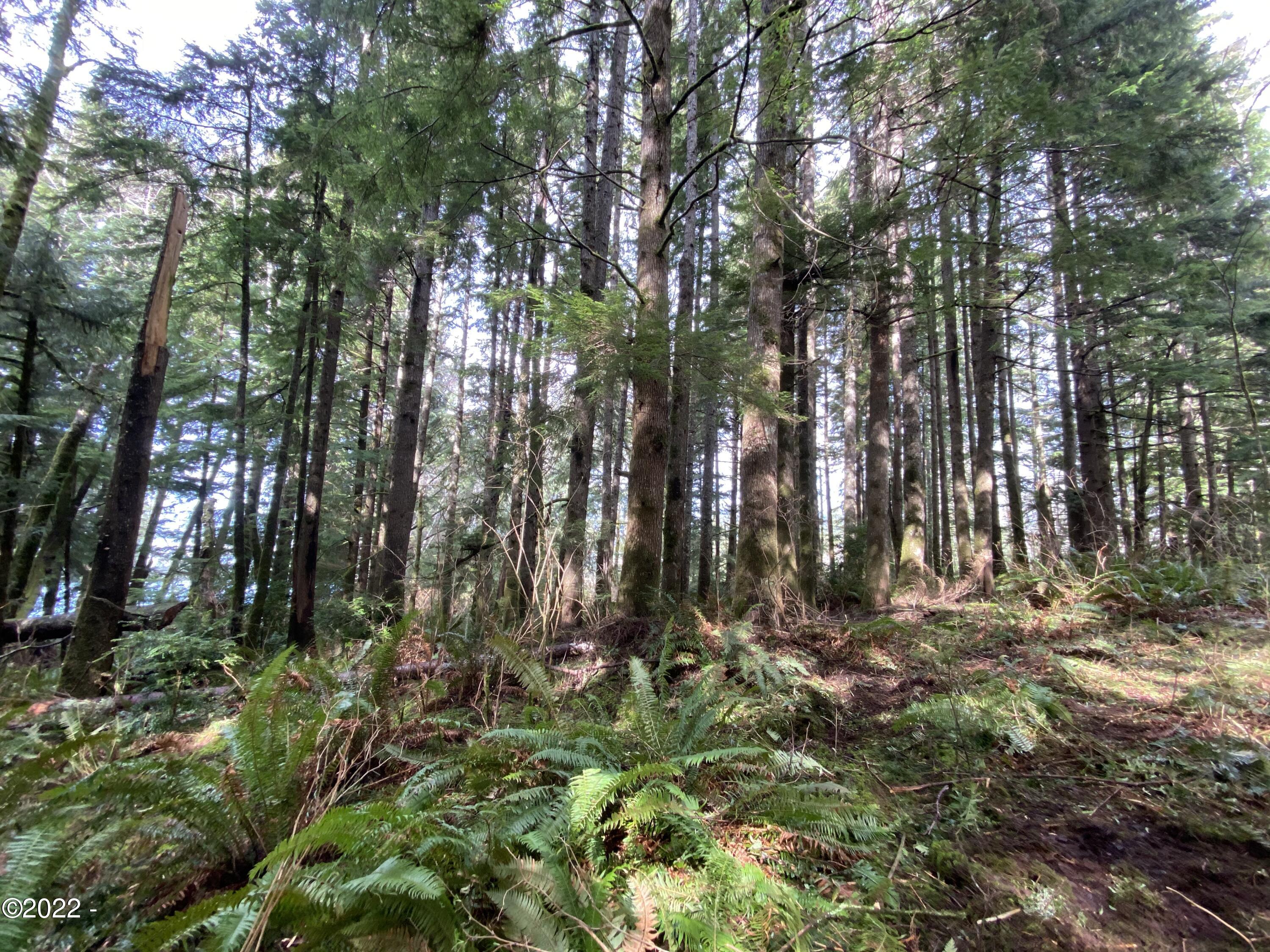301 Sandlake Road Cloverdale, OR 97112 - Photo 5 of 14 Clean air and quiet nature