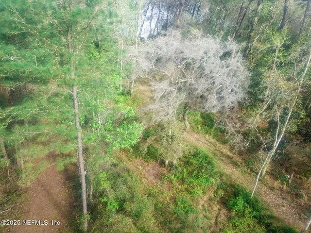 a view of a pathway both side of yard