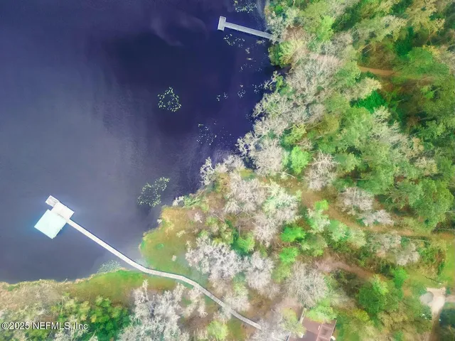 a picture of flowers