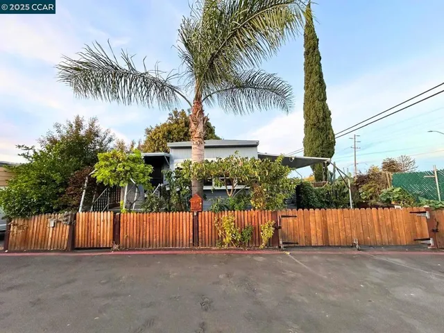 a view of backyard with palm trees