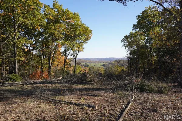 $150,000 | 20-acres 20-acres Highway, Rhineland, MO 65069