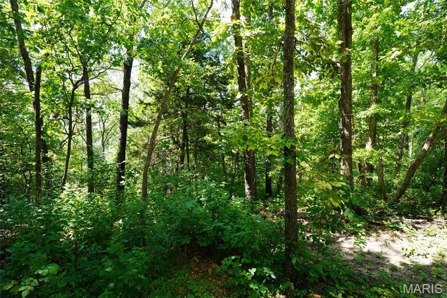 $150,000 | 20-acres 20-acres Highway, Rhineland, MO 65069