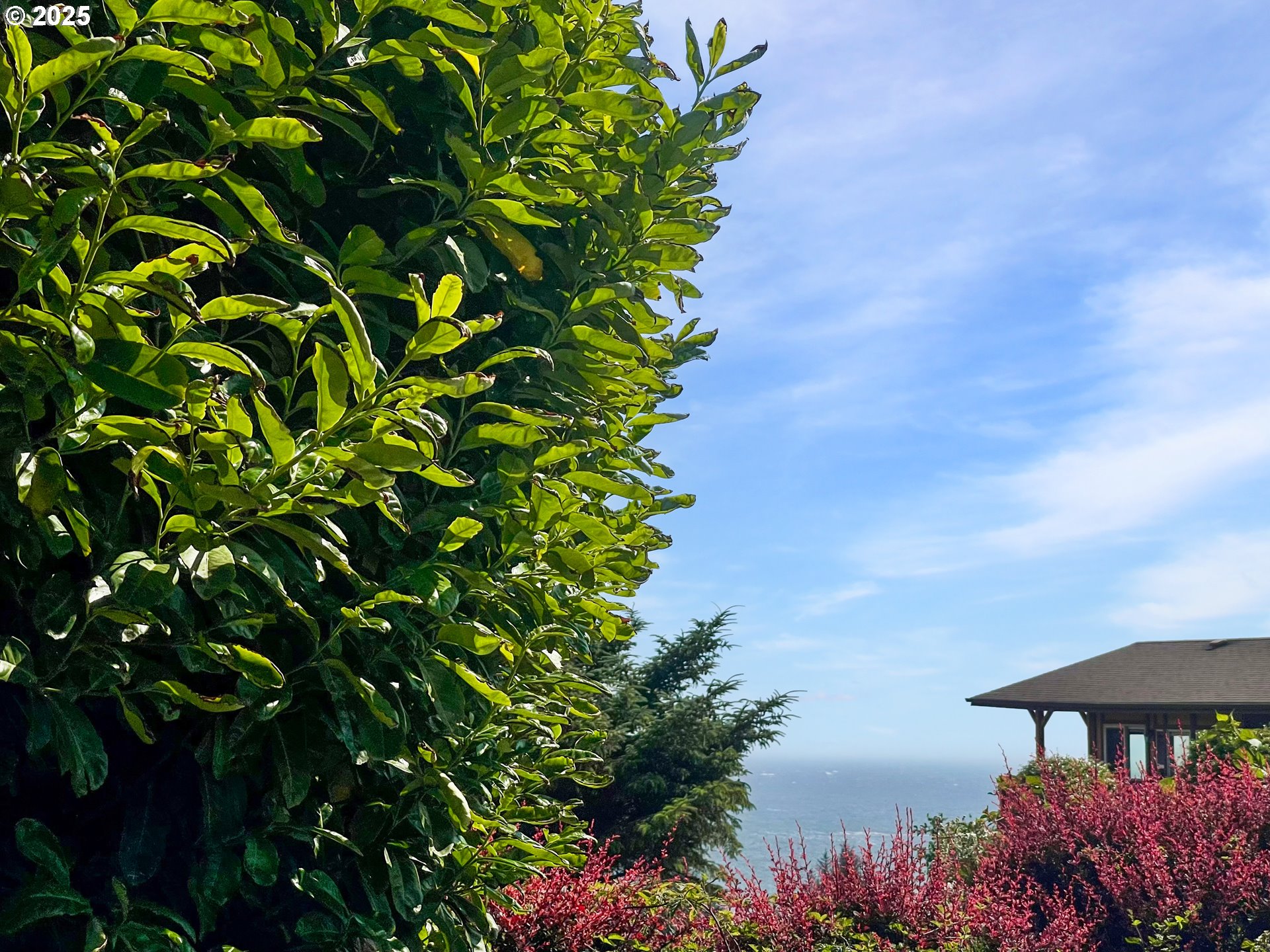 19921 Whaleshead Road, Unit T5 Brookings, OR 97415 - Photo 16 of 34 a front view of a house with a yard