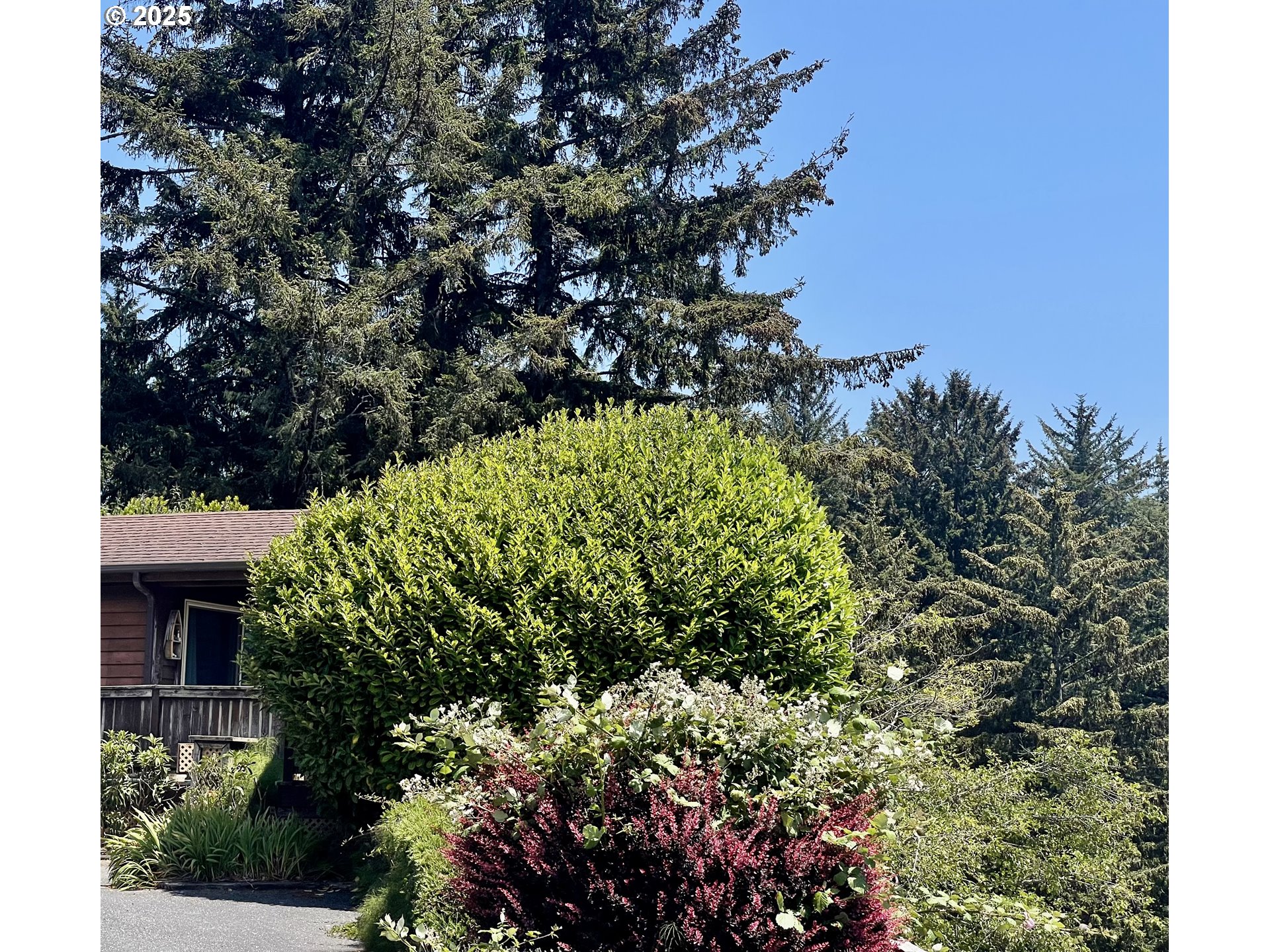 19921 Whaleshead Road, Unit T5 Brookings, OR 97415 - Photo 21 of 34 a view of a garden