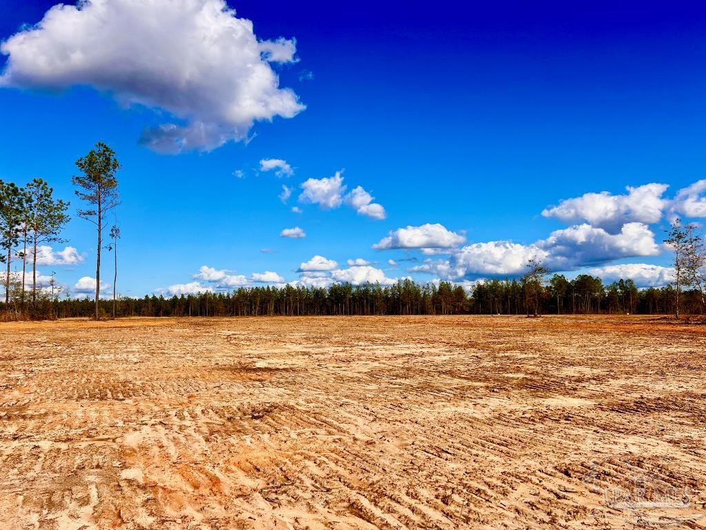 Lot 8 Denali Road Jay, FL 32565 - Photo 1 of 25