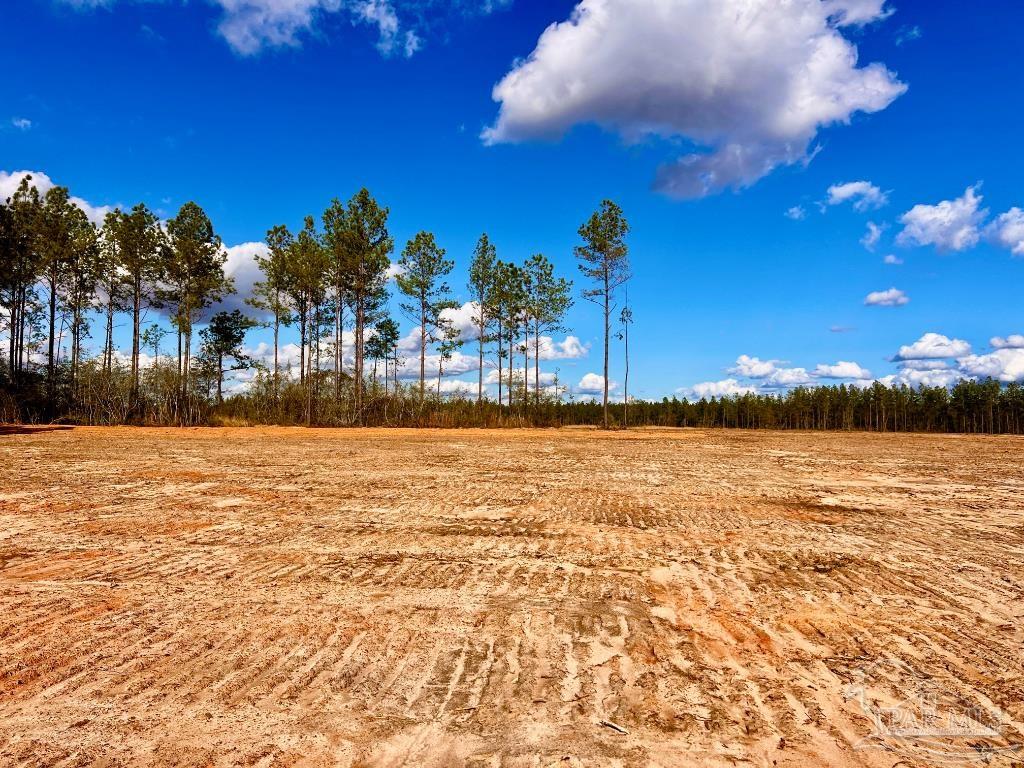 Lot 8 Denali Road Jay, FL 32565 - Photo 11 of 25