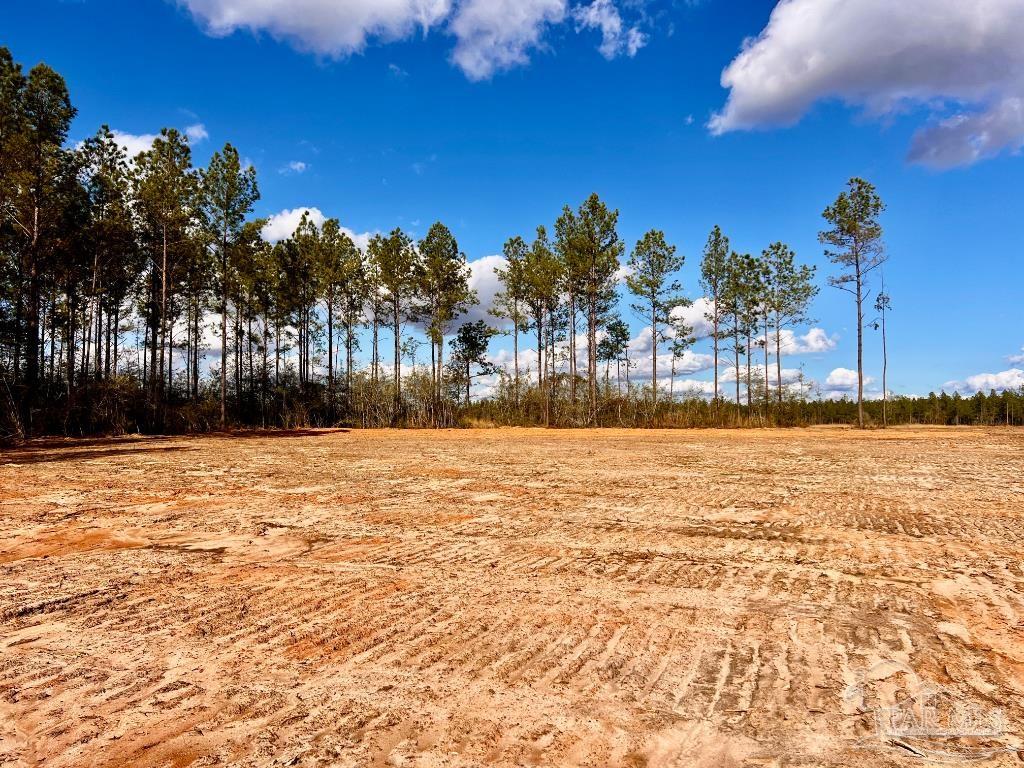 Lot 8 Denali Road Jay, FL 32565 - Photo 12 of 25