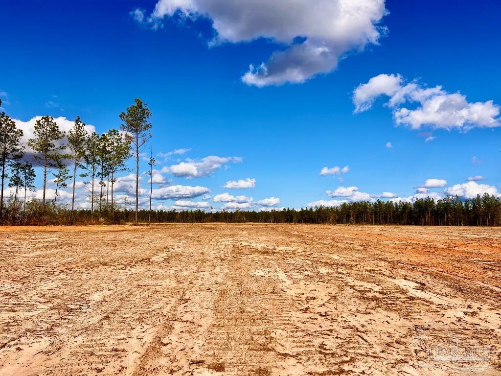 Lot 8 Denali Road Jay, FL 32565 - Photo 13 of 25
