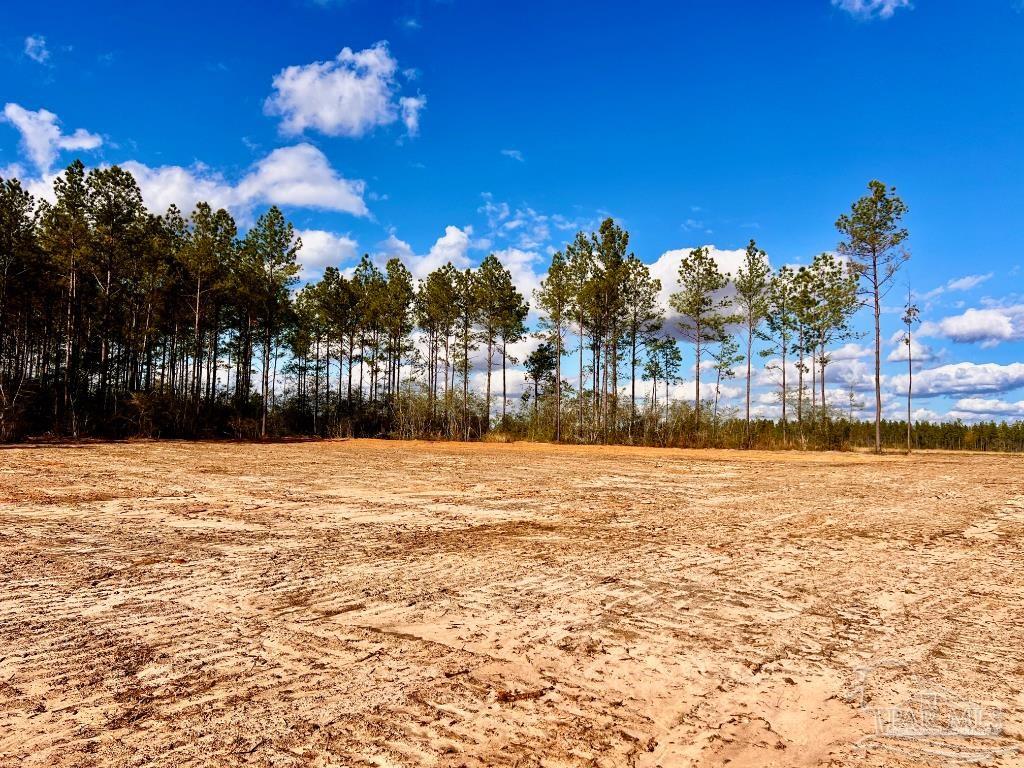 Lot 8 Denali Road Jay, FL 32565 - Photo 14 of 25