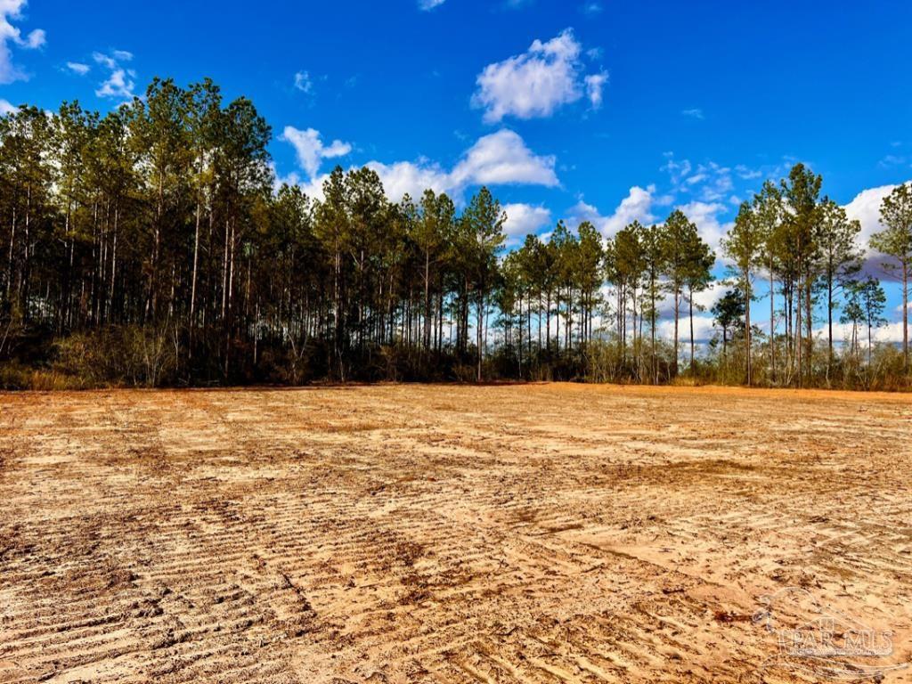 Lot 8 Denali Road Jay, FL 32565 - Photo 15 of 25