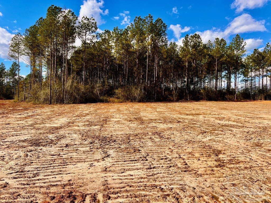 Lot 8 Denali Road Jay, FL 32565 - Photo 17 of 25