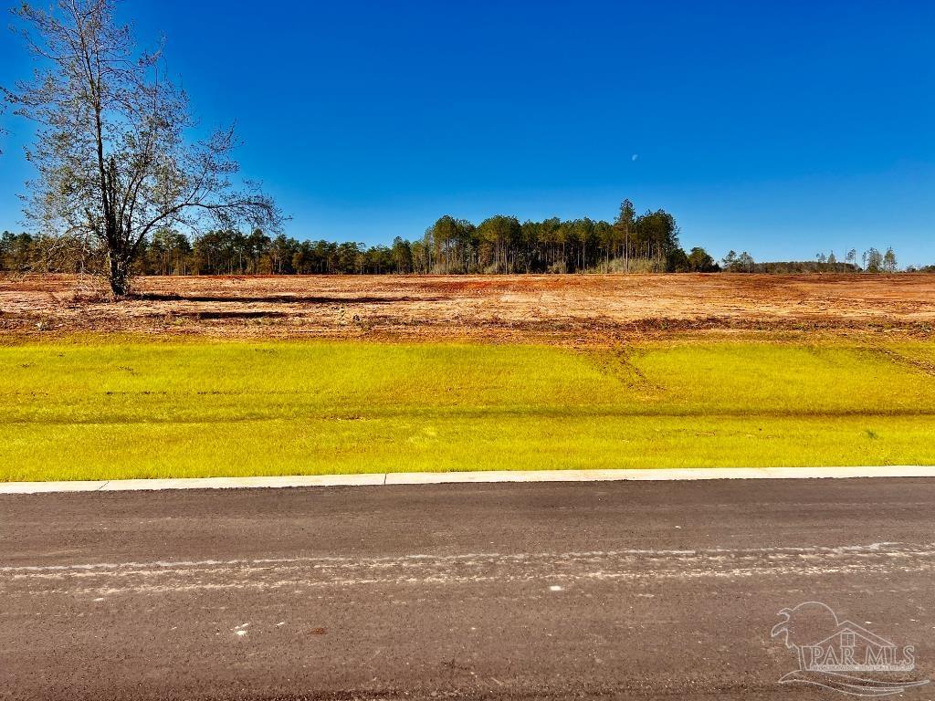 Lot 8 Denali Road Jay, FL 32565 - Photo 2 of 25