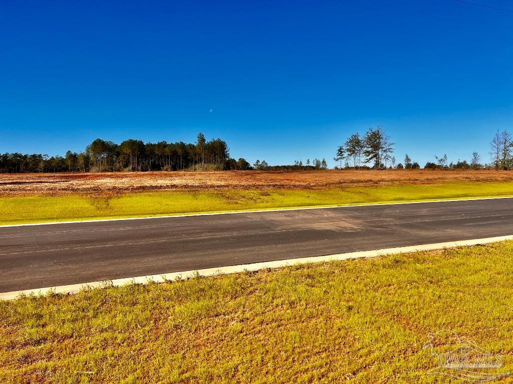Lot 8 Denali Road Jay, FL 32565 - Photo 7 of 25