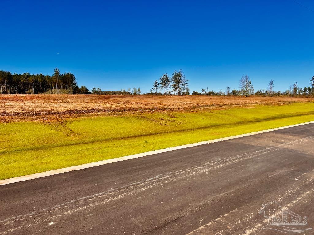 Lot 8 Denali Road Jay, FL 32565 - Photo 8 of 25