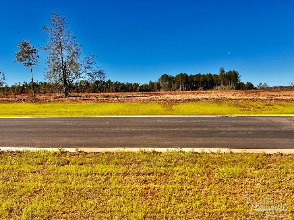 Lot 8 Denali Road Jay, FL 32565 - Photo 9 of 25