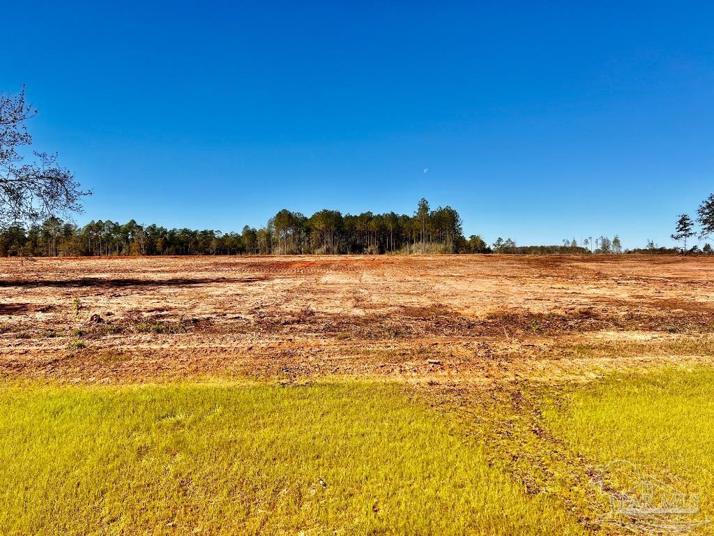 Lot 8 Denali Road Jay, FL 32565 - Photo 10 of 25