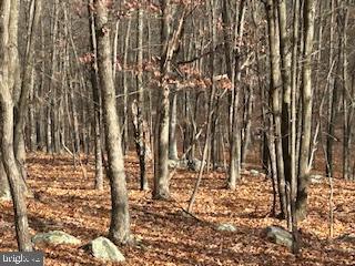Hutter Road Moorefield, WV 26836 - Photo 1 of 10