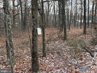 Hutter Road Moorefield, WV 26836 - Photo 2 of 10