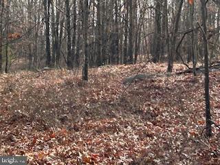 Hutter Road Moorefield, WV 26836 - Photo 4 of 10