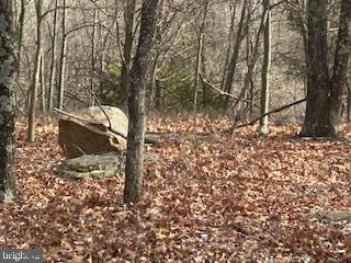 Hutter Road Moorefield, WV 26836 - Photo 5 of 10