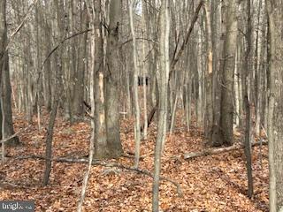 Hutter Road Moorefield, WV 26836 - Photo 7 of 10