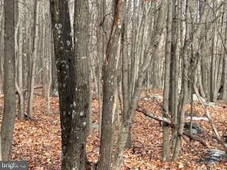 Hutter Road Moorefield, WV 26836 - Photo 8 of 10