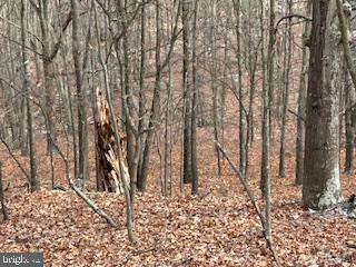 Hutter Road Moorefield, WV 26836 - Photo 9 of 10
