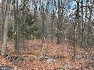 Hutter Road Moorefield, WV 26836 - Photo 10 of 10