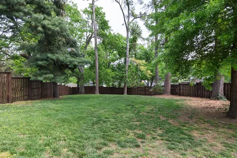 a view of a back yard