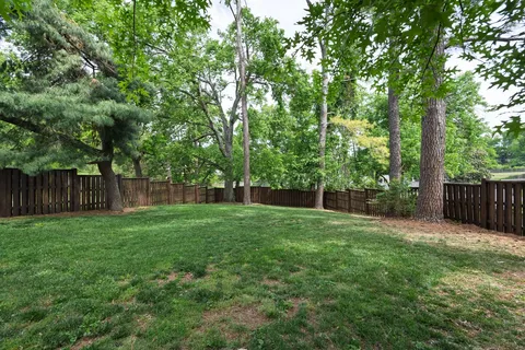 a view of a back yard