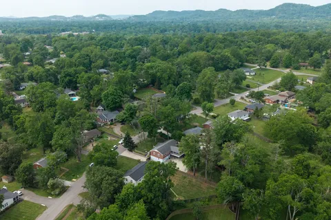 an aerial view of green landscape with trees houses and mountain view