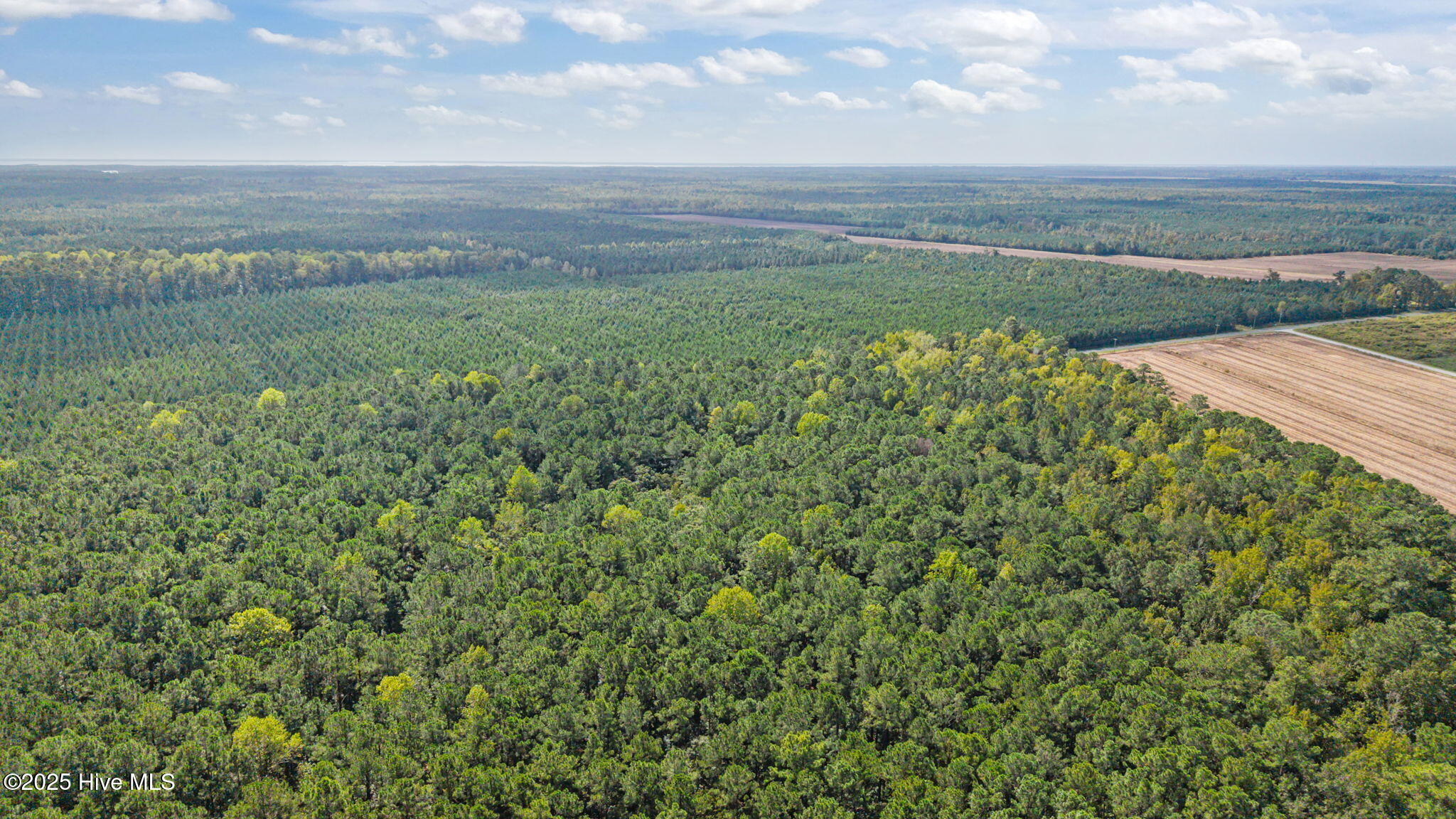 3733 Florence Road Merritt, NC 28556 - Photo 12 of 18 10-web-or-mls-DJI_20251002113947_0239_D